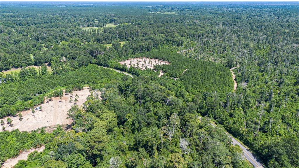 Homes for sale in Pitkin, LA | Lot 6 Ten Mile Road, Pitkin, LA 70656 | MLS# CN2458290