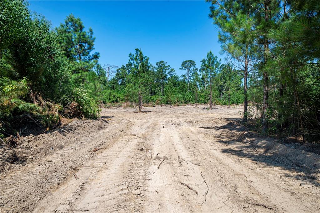 Homes for sale in Pitkin, LA | Lot 6 Ten Mile Road, Pitkin, LA 70656 | MLS# CN2458290