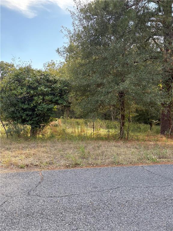 Homes for sale in Marksville, LA | 1344 La 1194, Marksville, LA 71351 | MLS# CN2462911