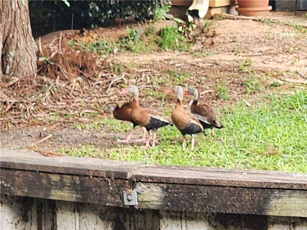 Homes for sale in Mandeville, LA | 745 Carondelet Street, Mandeville, LA 70448 | MLS# NO2488525