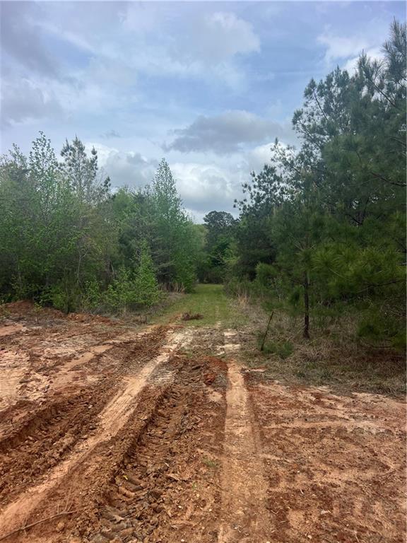 Homes for sale in Pollock, LA | Tract 4 Hughart Road, Pollock, LA 71467 | MLS# CN2495147