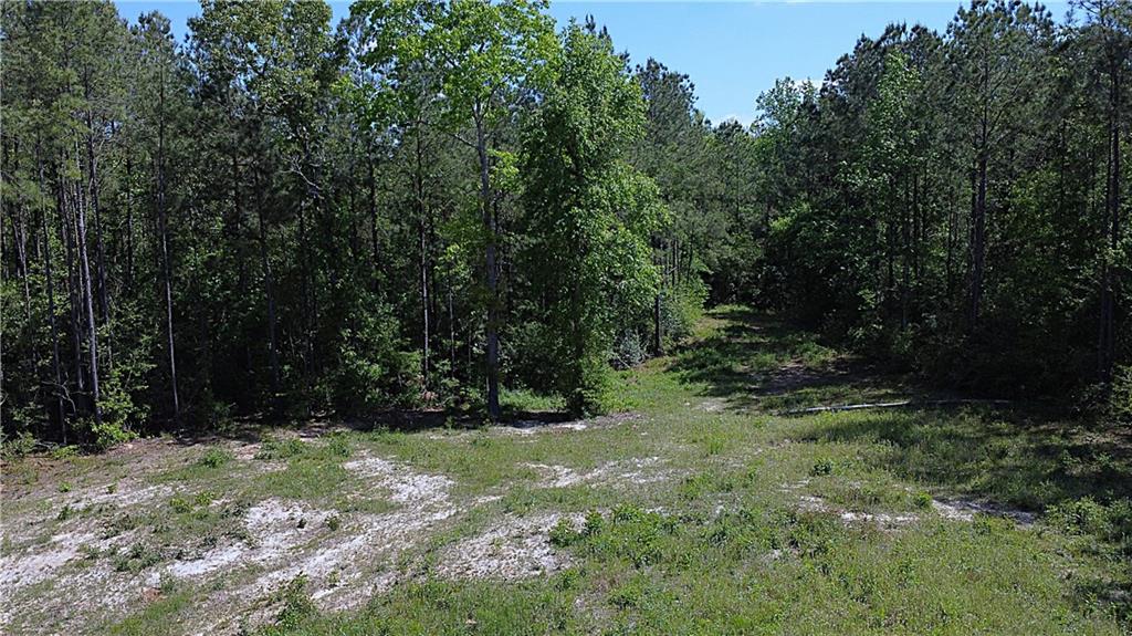 Homes for sale in Bush, LA | 1478 Acres Sidney Spell Road, Bush, LA 70431 | MLS# NO2496342