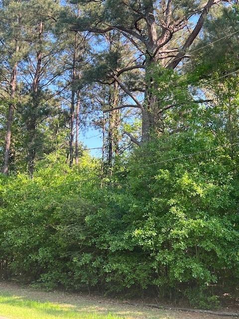 Homes for sale in Folsom, LA | 0 Raehyo Lane, Folsom, LA 70437 | MLS# NO2496797