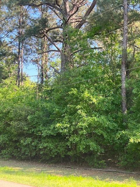 Homes for sale in Folsom, LA | 0 Raehyo Lane, Folsom, LA 70437 | MLS# NO2496797