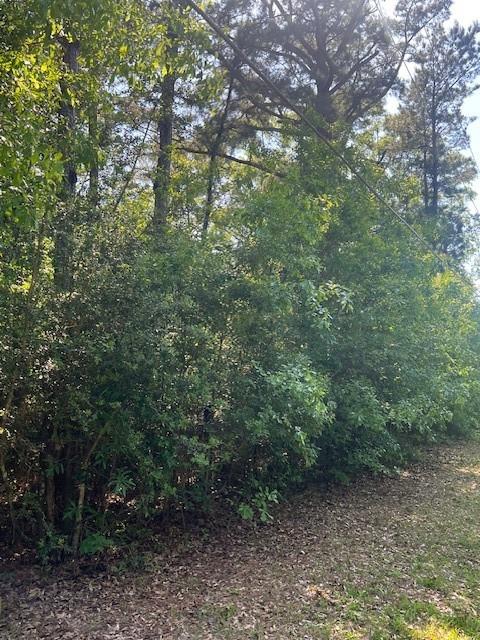 Homes for sale in Folsom, LA | 0 Raehyo Lane, Folsom, LA 70437 | MLS# NO2496797