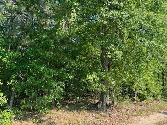 Homes for sale in Folsom, LA | 0 Raehyo Lane, Folsom, LA 70437 | MLS# NO2496797