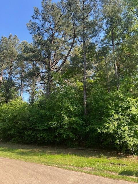 Homes for sale in Folsom, LA | 0 Raehyo Lane, Folsom, LA 70437 | MLS# NO2496797