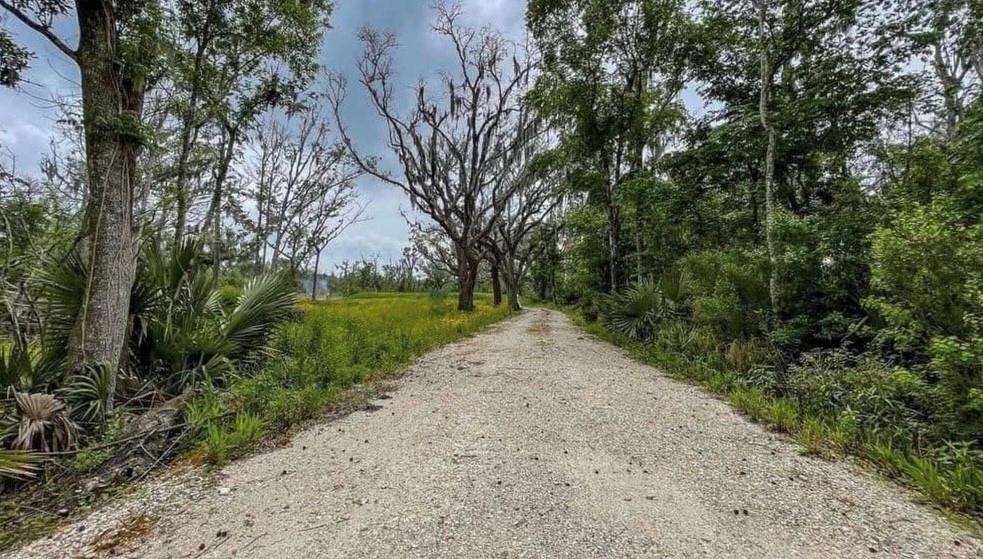 Homes for sale in Jean Lafitte, LA | 1309 Jean Lafitte Boulevard, Jean Lafitte, LA 70067 | MLS# NO2499291