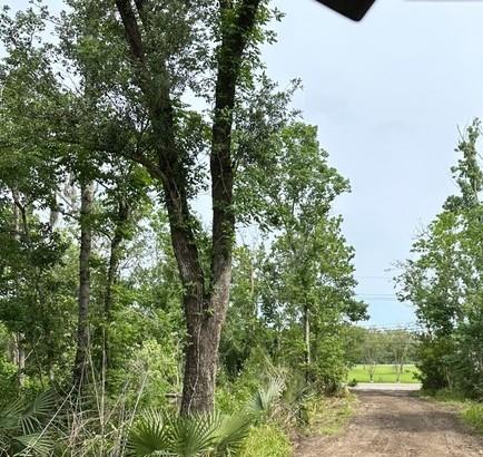 Homes for sale in Jean Lafitte, LA | 1309 Jean Lafitte Boulevard, Jean Lafitte, LA 70067 | MLS# NO2499291