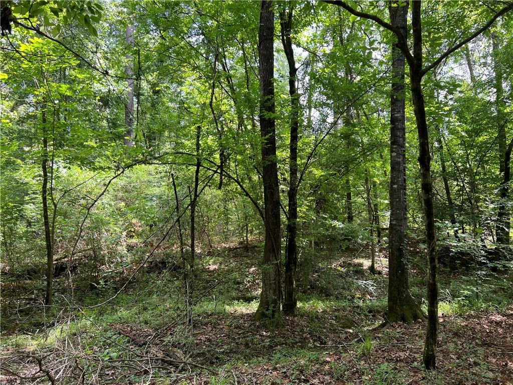 Homes for sale in Ball, LA | 0 Shelton Dr, Ball, LA 71405 | MLS# CN2501233