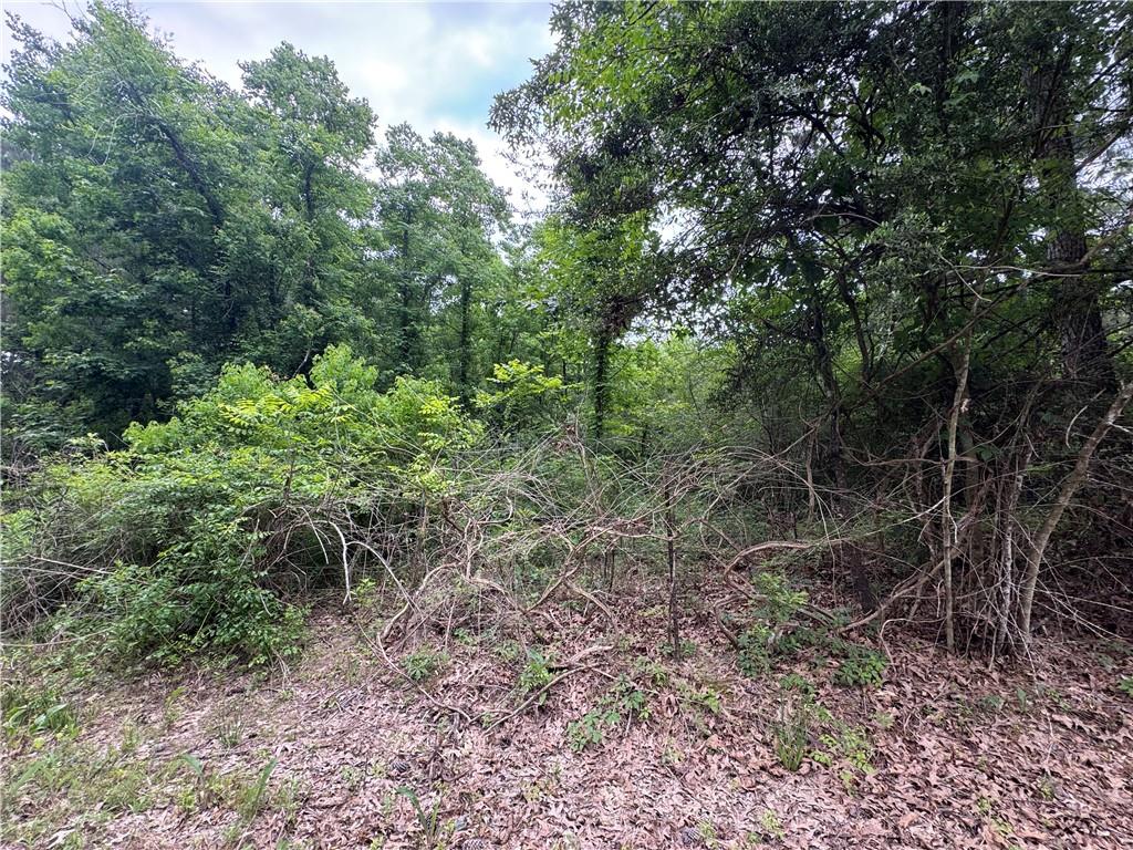 Homes for sale in Pineville, LA | 121 Ryland Road, Pineville, LA 71360 | MLS# CN2503170