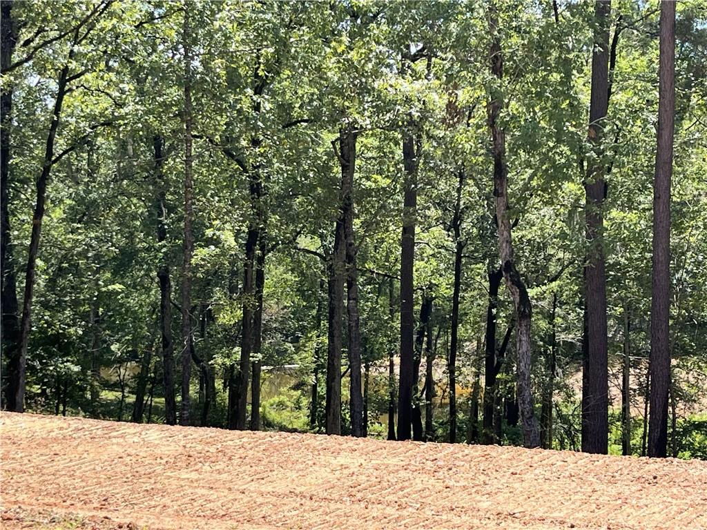 Homes for sale in Zwolle, LA | 320 White Perch Lane, Zwolle, LA 71486 | MLS# CN2506033