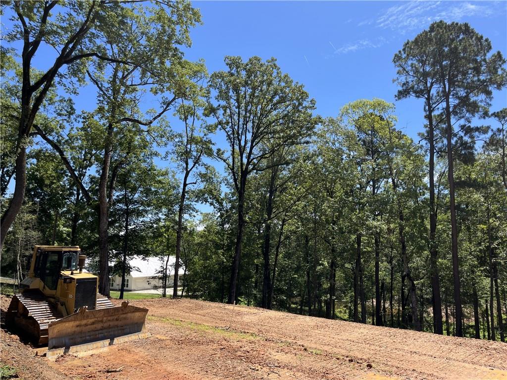 Homes for sale in Zwolle, LA | 340 White Pearch Lane, Zwolle, LA 71486 | MLS# CN2506109