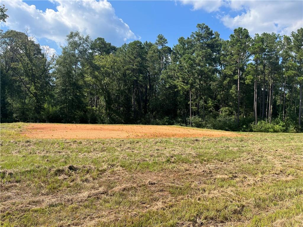 Homes for sale in Dry Prong, LA | Lot 22 Archie Dr, Dry Prong, LA 71423 | MLS# CN2509116