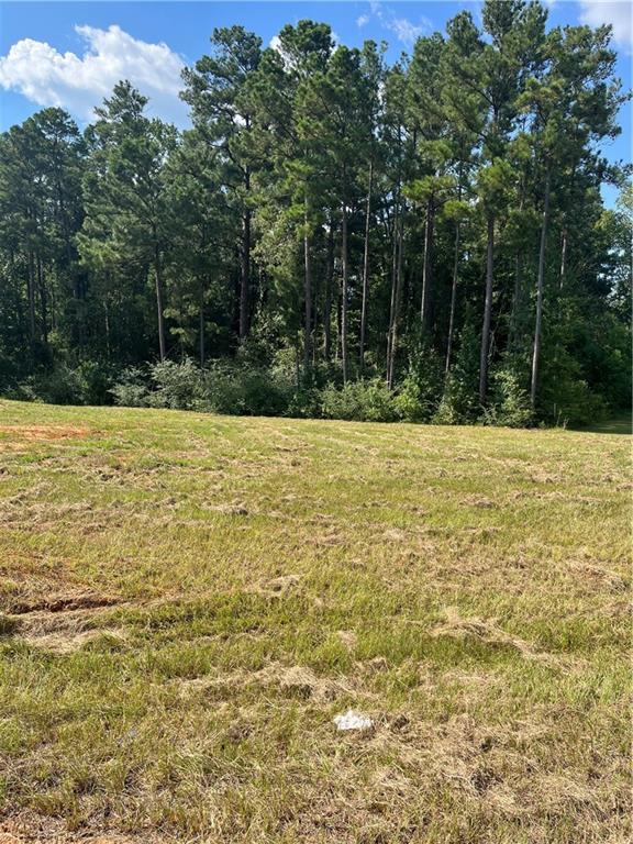 Homes for sale in Dry Prong, LA | Lot 22 Archie Dr, Dry Prong, LA 71423 | MLS# CN2509116