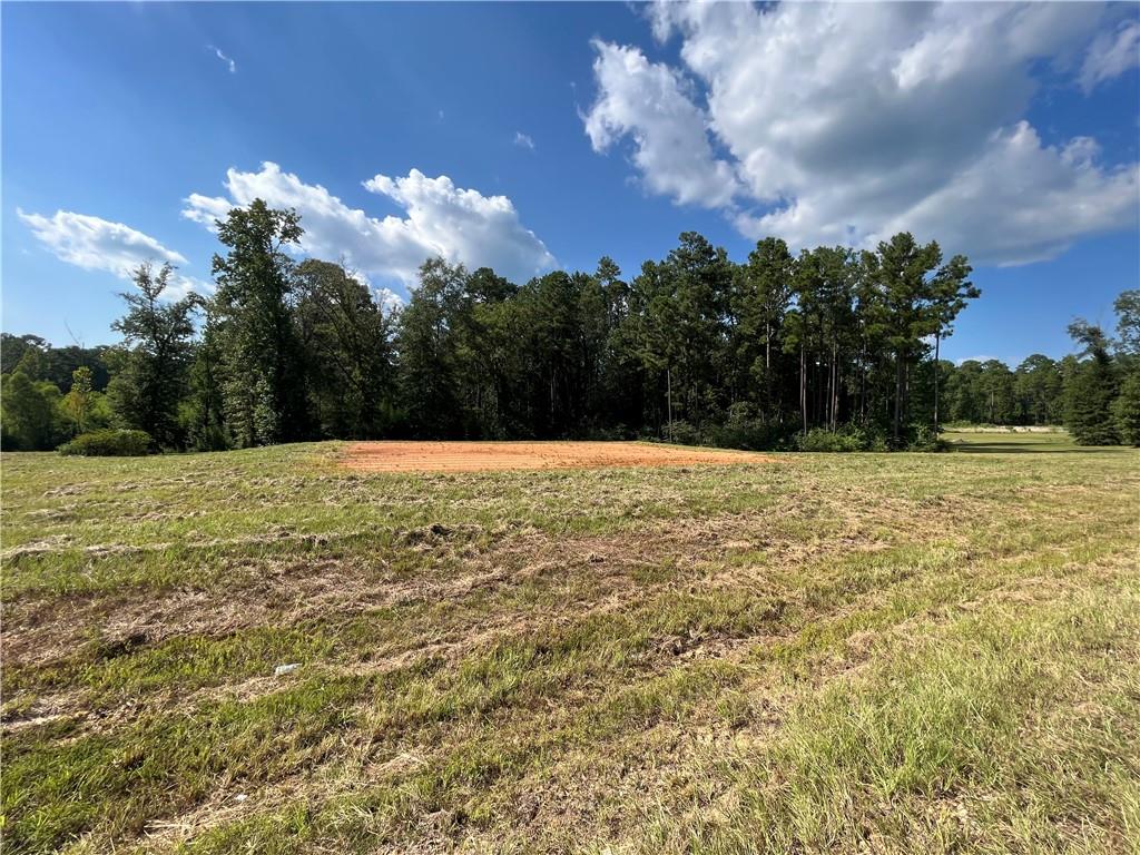 Homes for sale in Dry Prong, LA | Lot 22 Archie Dr, Dry Prong, LA 71423 | MLS# CN2509116