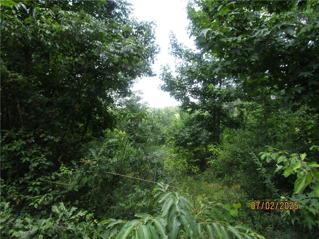 Homes for sale in Colfax, LA | 0 Cold Branch Road, Colfax, LA 71417 | MLS# CN2510797