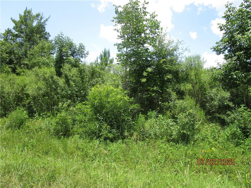 Homes for sale in Colfax, LA | 0 Cold Branch Road, Colfax, LA 71417 | MLS# CN2510797