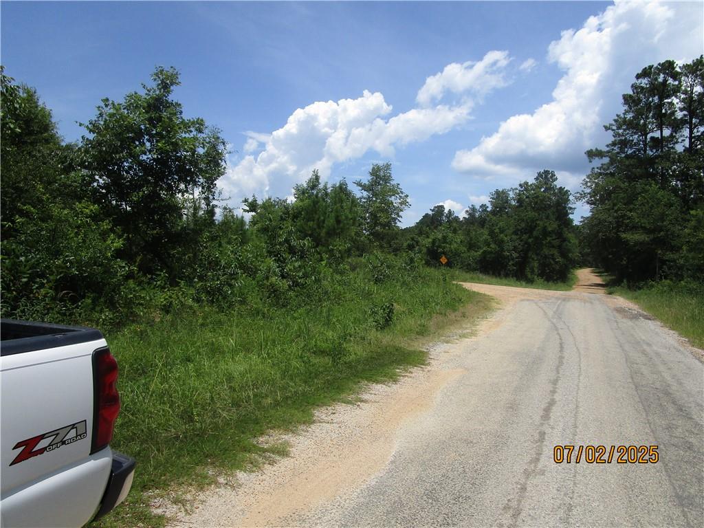 Homes for sale in Colfax, LA | 0 Cold Branch Road, Colfax, LA 71417 | MLS# CN2510797