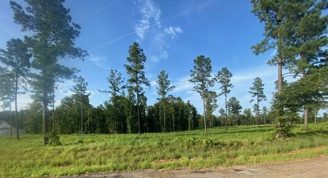 Homes for sale in Boyce, LA | W Teekel Road, Boyce, LA 71409 | MLS# CN2512024