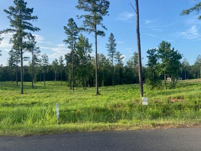 Homes for sale in Boyce, LA | Teekell Lot 5 Road, Boyce, LA 71409 | MLS# CN2512072