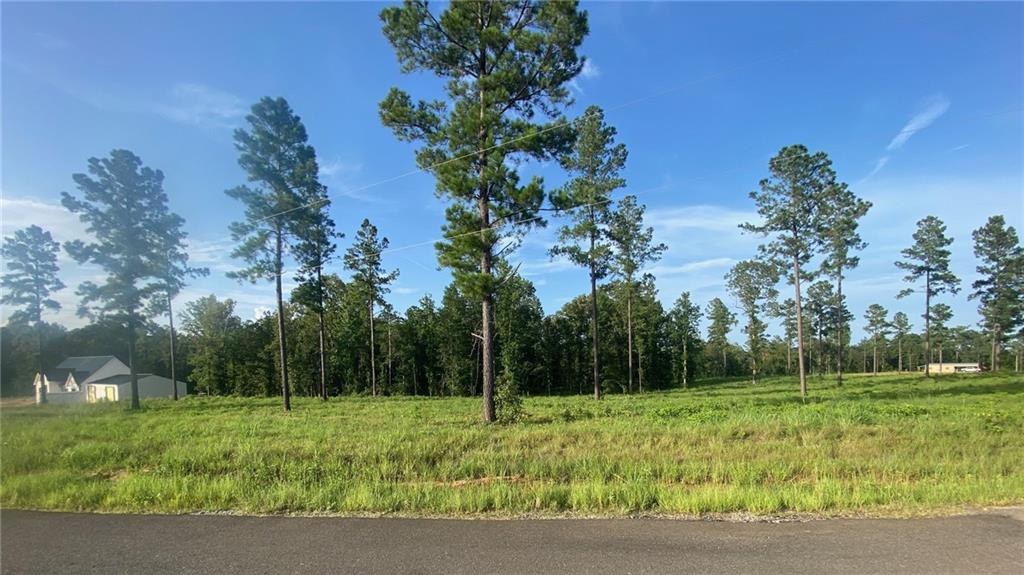 Homes for sale in Boyce, LA | Teekell Lot 5 Road, Boyce, LA 71409 | MLS# CN2512072
