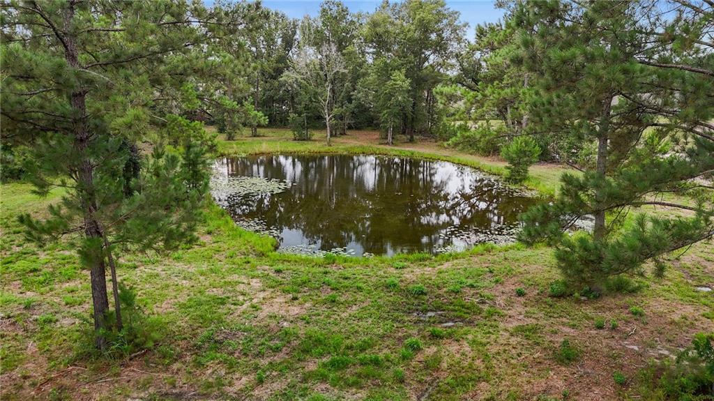 Homes for sale in Ponchatoula, LA | 42386 Don Inman Road, Ponchatoula, LA 70454 | MLS# NO2512002