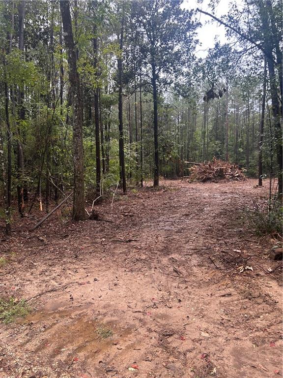 Homes for sale in Loranger, LA | South Bennett Road, Loranger, LA 70446 | MLS# NO2513586