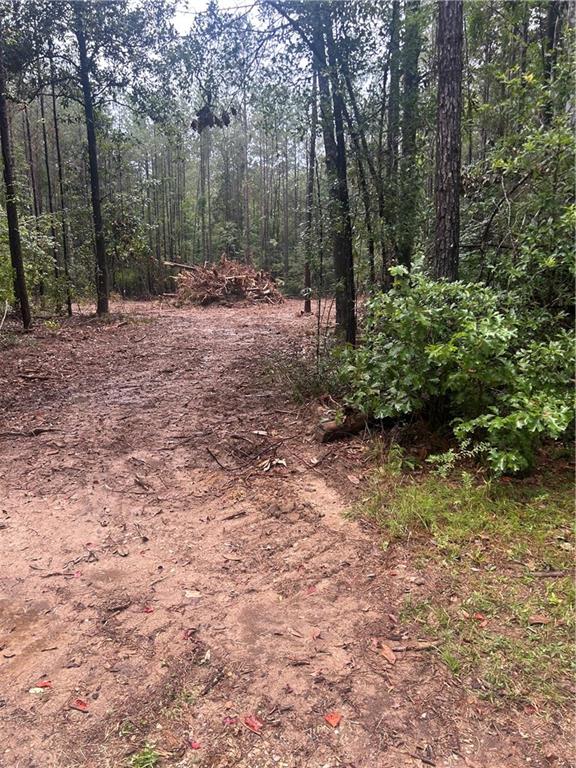 Homes for sale in Loranger, LA | South Bennett Road, Loranger, LA 70446 | MLS# NO2513586