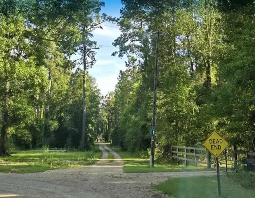 Homes for sale in Loranger, LA | South Bennett Road, Loranger, LA 70446 | MLS# NO2513586