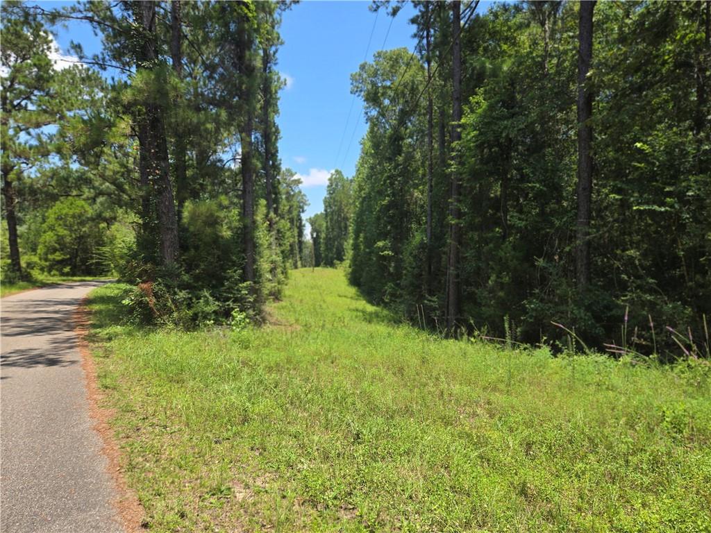 Homes for sale in Carriere, MS | 0 Cressionnie Road, Carriere, MS 39426 | MLS# NO2513622