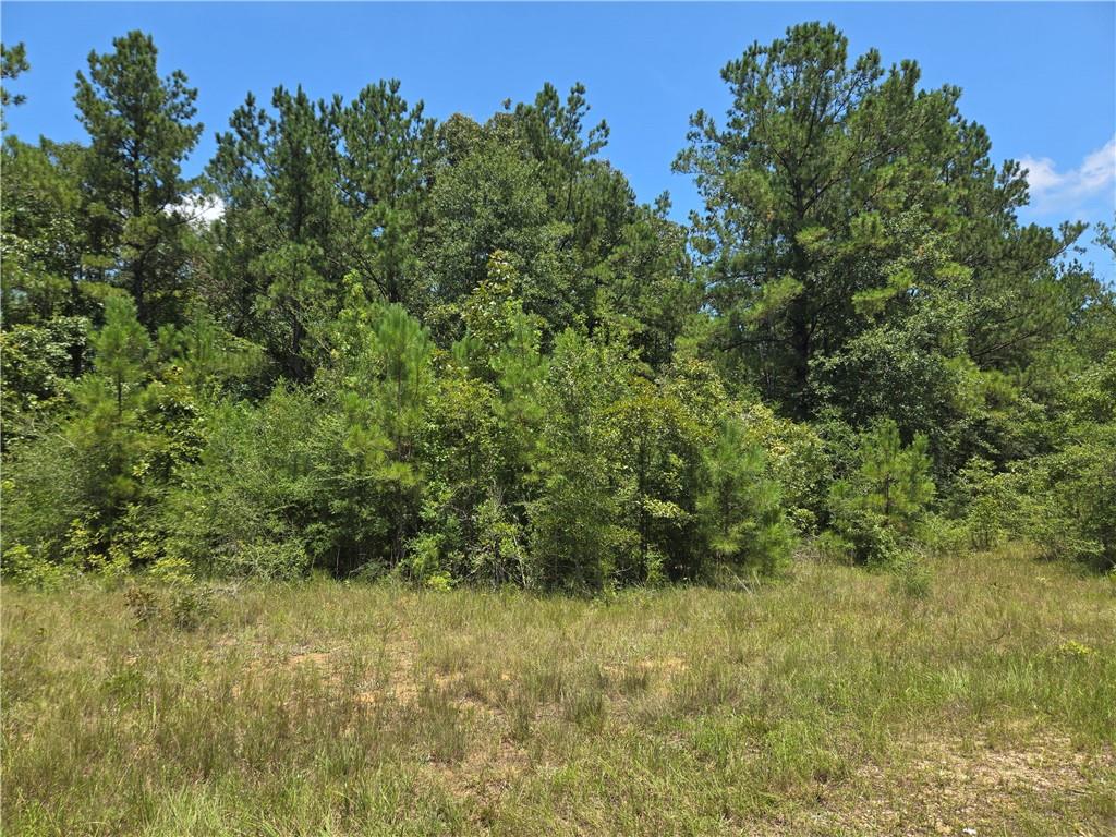 Homes for sale in Carriere, MS | 0 Cressionnie Road, Carriere, MS 39426 | MLS# NO2513622