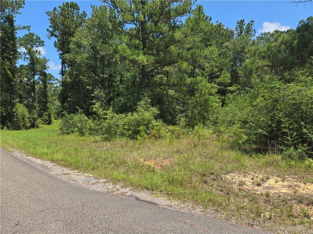 Homes for sale in Carriere, MS | 0 Cressionnie Road, Carriere, MS 39426 | MLS# NO2513622