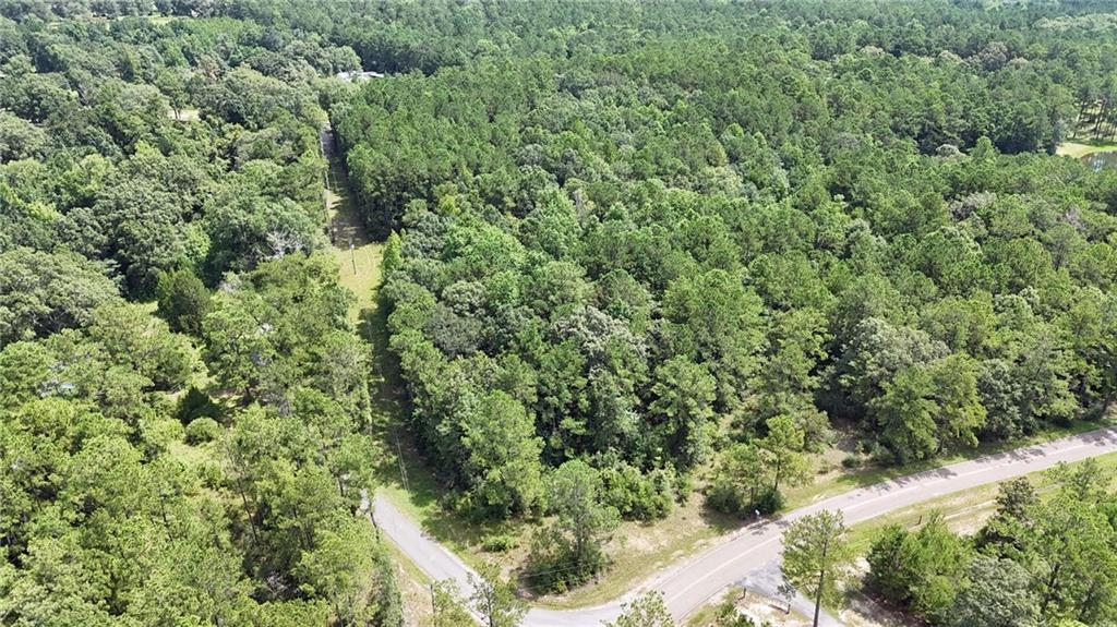 Homes for sale in Carriere, MS | 0 Cressionnie Road, Carriere, MS 39426 | MLS# NO2513622