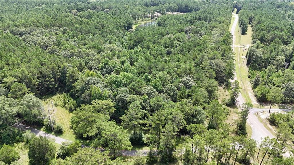 Homes for sale in Carriere, MS | 0 Cressionnie Road, Carriere, MS 39426 | MLS# NO2513622