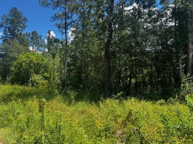 Homes for sale in Covington, LA | Pruden Road, Covington, LA 70435 | MLS# NO2513731