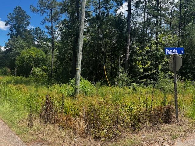 Homes for sale in Covington, LA | Pruden Road, Covington, LA 70435 | MLS# NO2513731