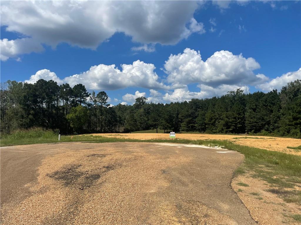 Homes for sale in Brookhaven, MS | 000 Cougar Trail, Brookhaven, MS 39601 | MLS# NO2514615