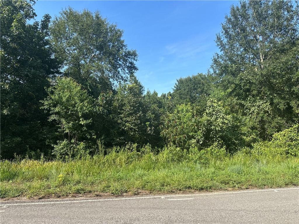 Homes for sale in Magnolia, MS | Tbd Hamp Lea Road, Magnolia, MS 39652 | MLS# NO2517621