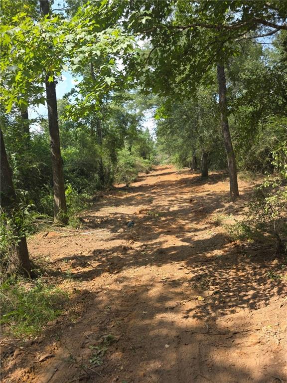 Homes for sale in Magnolia, MS | Tbd Hamp Lea Road, Magnolia, MS 39652 | MLS# NO2517621