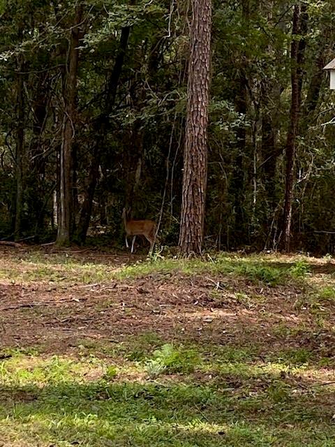 Homes for sale in Covington, LA | 233 Robin Hood Dr, Covington, LA 70433 | MLS# NO2517505