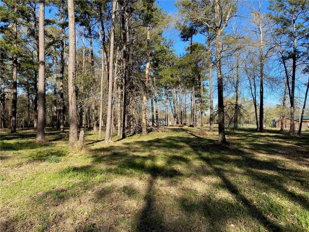 Homes for sale in Colfax, LA | Lot 2 Lou Ann Dr, Colfax, LA 71417 | MLS# CN2517635