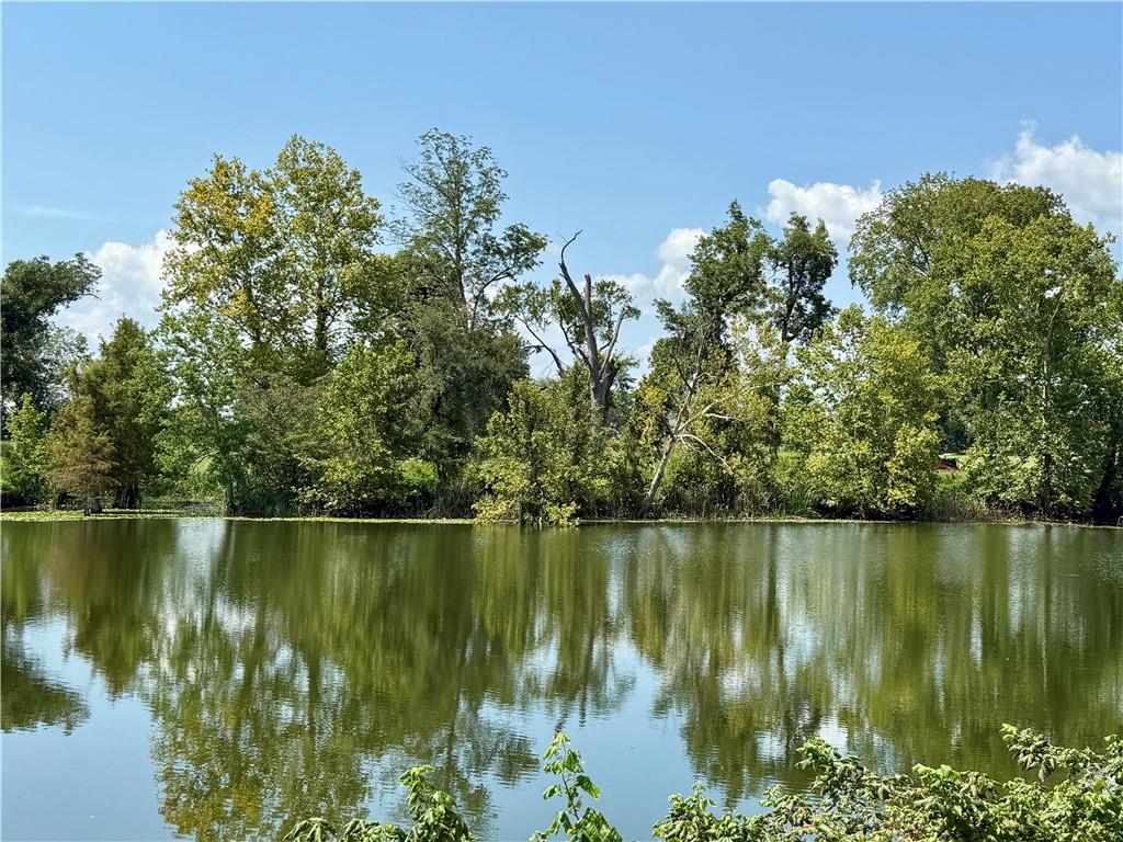 Homes for sale in Natchez, LA | 0 Rose Hill Planation Road Road, Natchez, LA 71456 | MLS# CN2518060