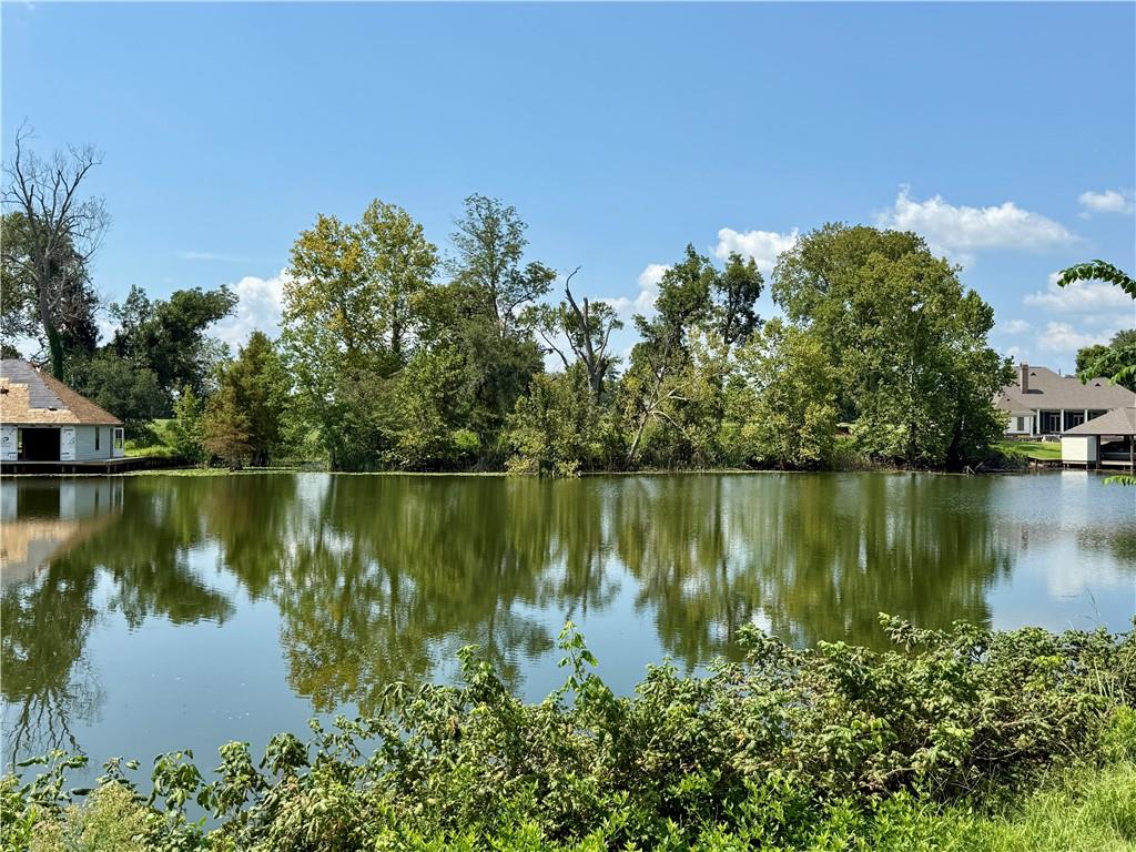 Homes for sale in Natchez, LA | 0 Rose Hill Planation Road Road, Natchez, LA 71456 | MLS# CN2518060