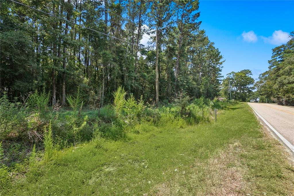 Homes for sale in Bush, LA | Tbd Hwy 40 Hwy, Bush, LA 70431 | MLS# NO2517972