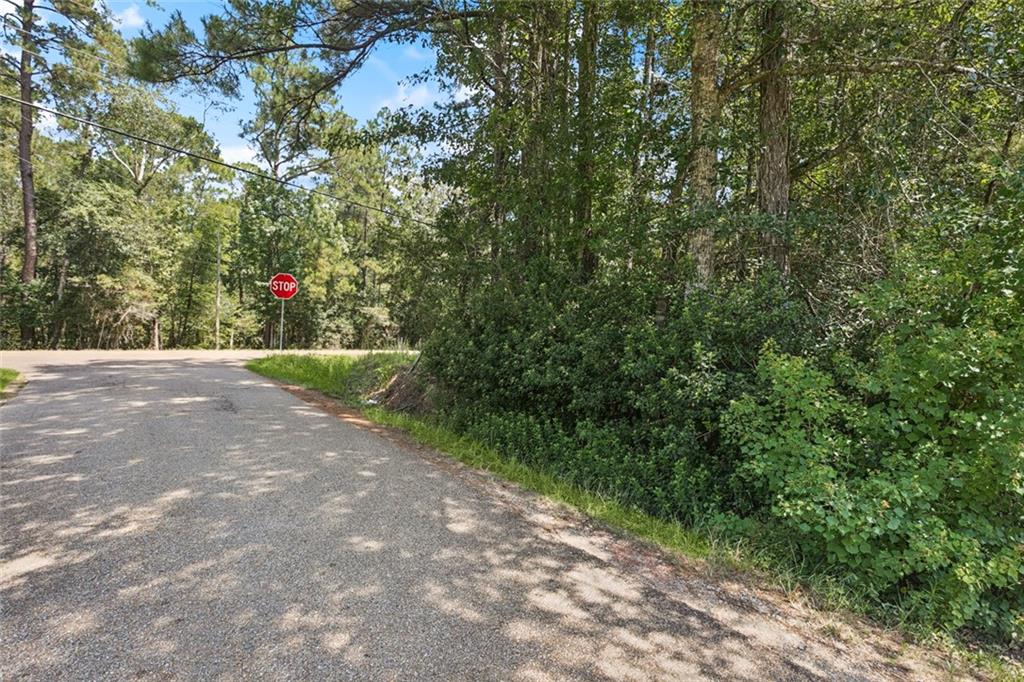 Homes for sale in Bush, LA | Tbd Hwy 40 Hwy, Bush, LA 70431 | MLS# NO2517972