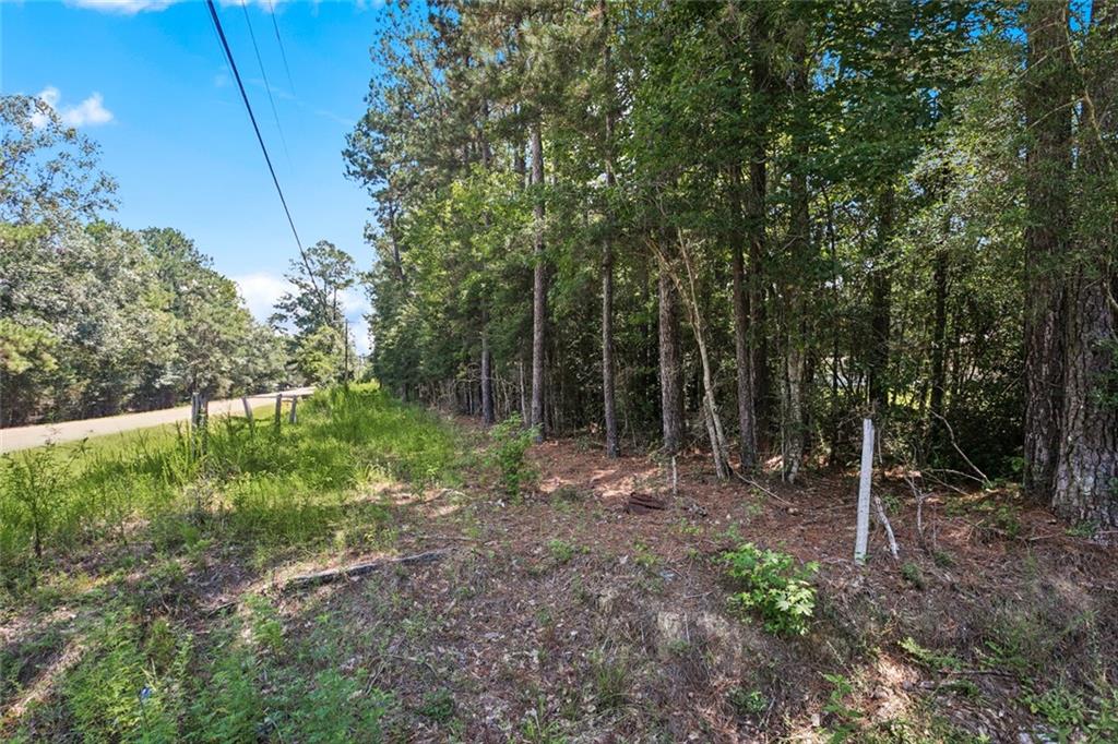 Homes for sale in Bush, LA | Tbd Hwy 40 Hwy, Bush, LA 70431 | MLS# NO2517972