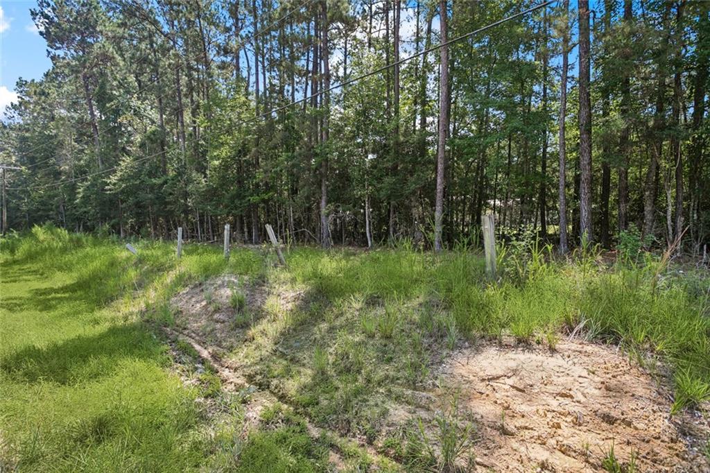 Homes for sale in Bush, LA | Tbd Hwy 40 Hwy, Bush, LA 70431 | MLS# NO2517972