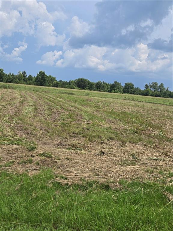 Homes for sale in Natchitoches, LA | 1209 Hampton Road, Natchitoches, LA 71457 | MLS# CN2518255