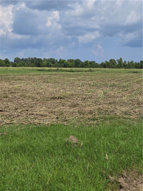 Homes for sale in Natchitoches, LA | 1209 Hampton Road, Natchitoches, LA 71457 | MLS# CN2518255